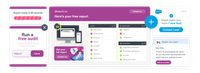 Insite screenshot showing a free website audit tool, SEO report features, and a Salesforce integration prompt.