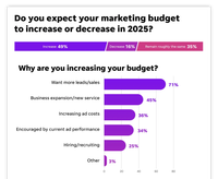 A graph showing that the majority of businesses are  increasing marketing budget to get more leads/sales