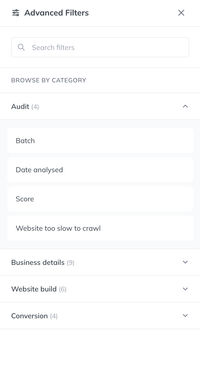The Advanced Filters panel's Browse by category view, with Audit, Business details, Website build, and Conversion categories