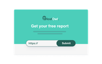 Landing page with a free SEO audit lead generation widget